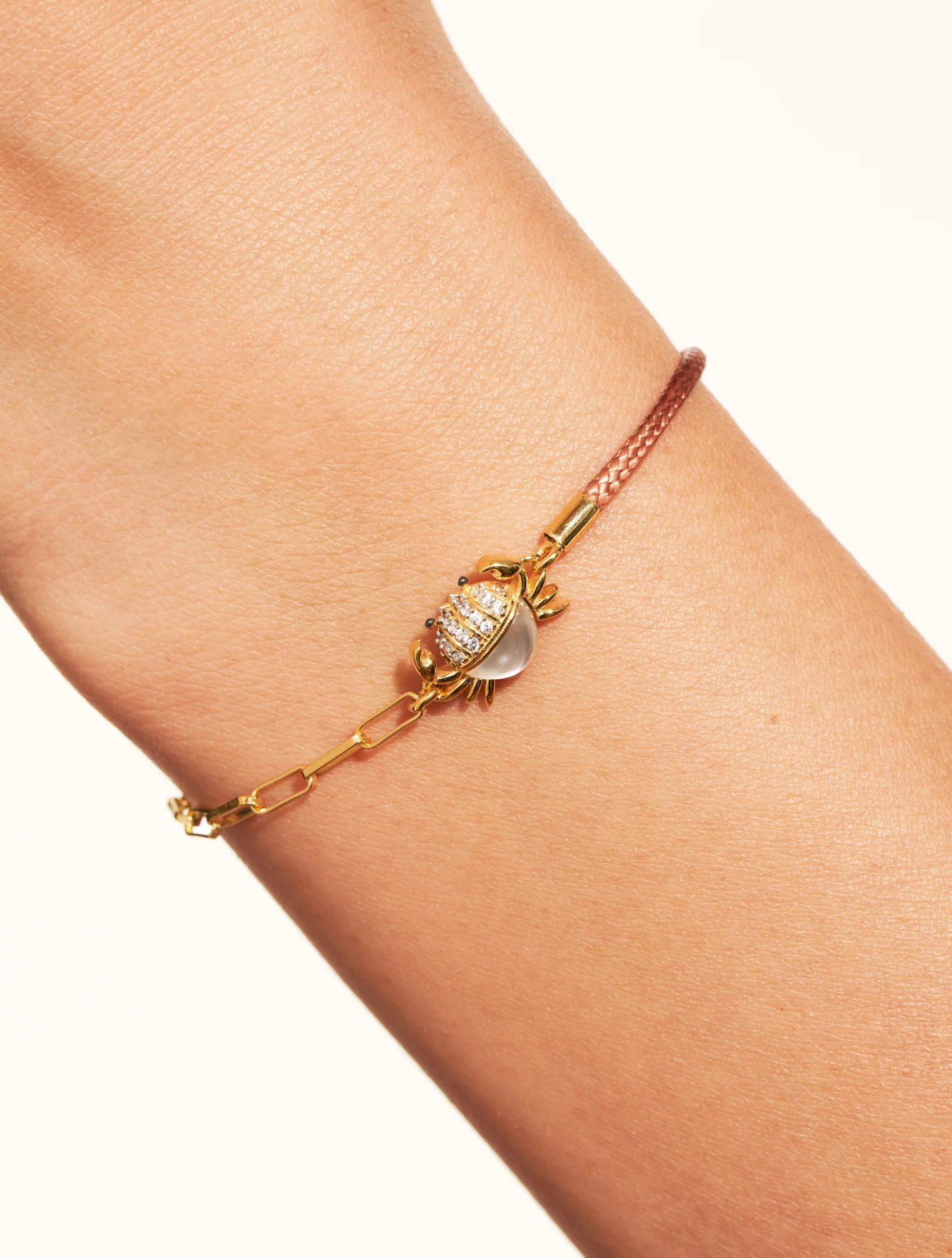 Shop Primary Image Shop Primary Image