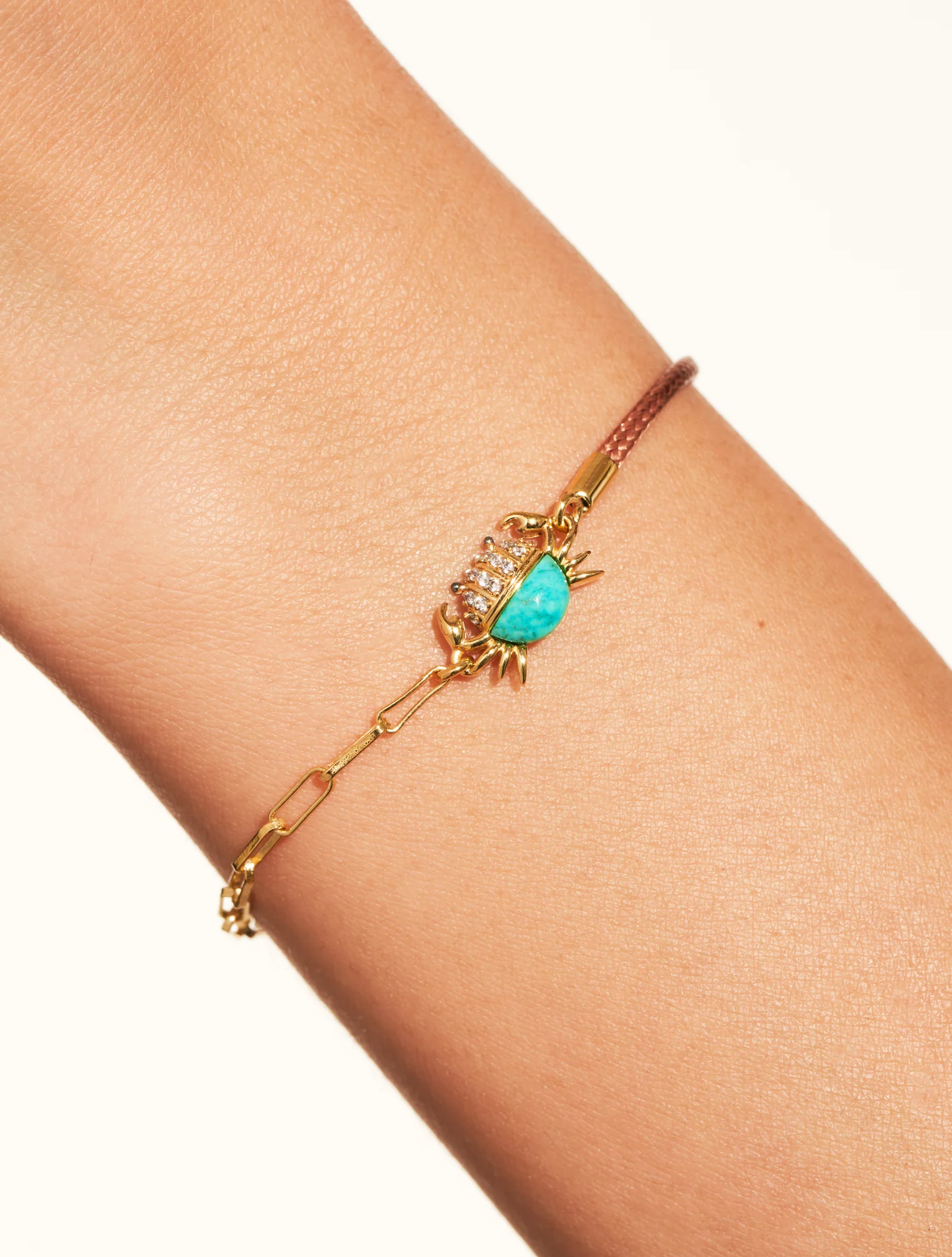 Shop Primary Image Shop Primary Image